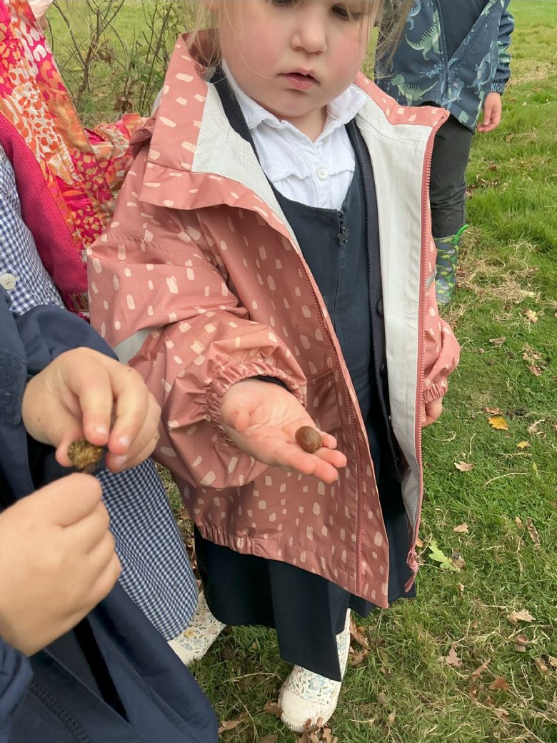 Signs of Autumn walk