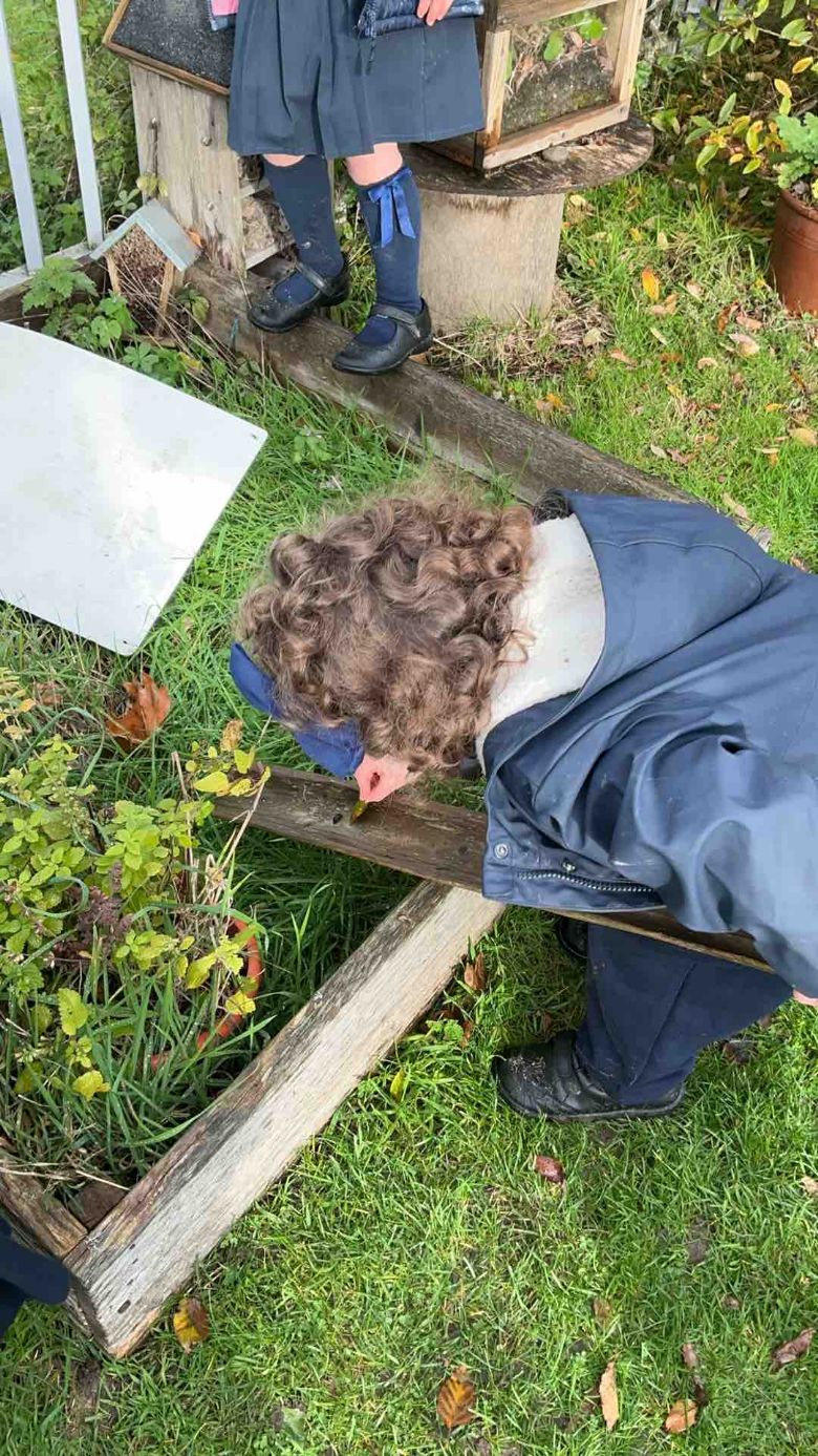 Caring for God's creatures